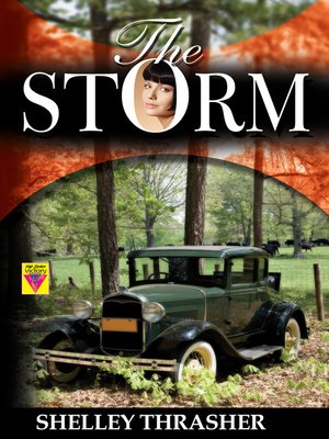 cover image of The Storm